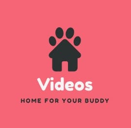 Video Sama Bokep-terbaru